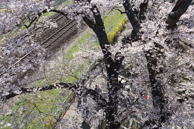 d0181492_08200045.jpg