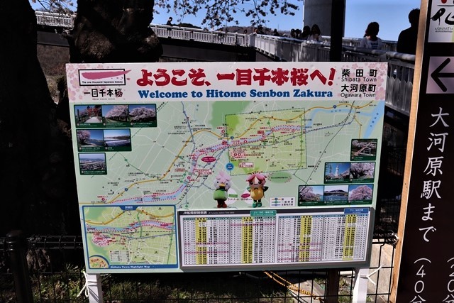 d0181492_08241104.jpg