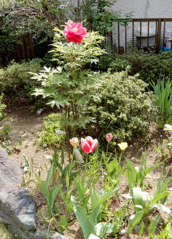 e0025300_2112848.jpg