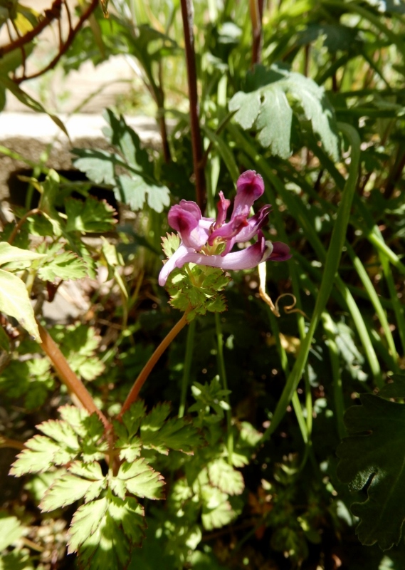 e0025300_21174919.jpg