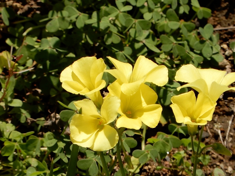 e0025300_2118283.jpg