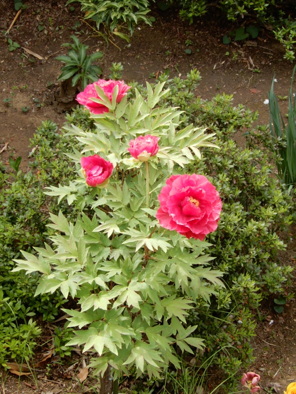 e0025300_2145173.jpg