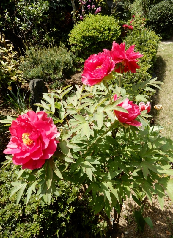 e0025300_2164575.jpg