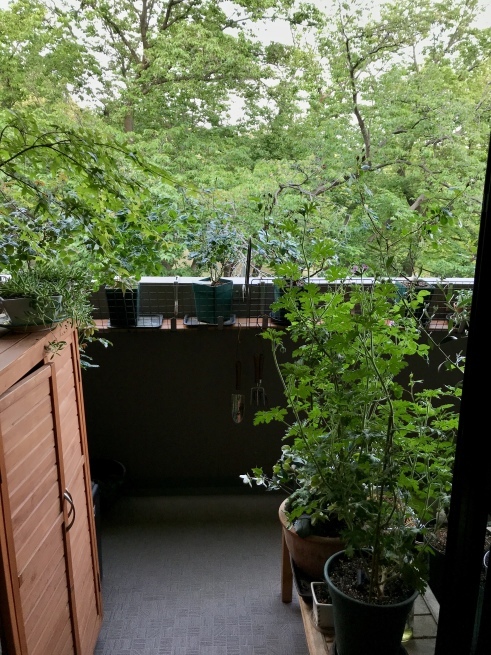 c0362401_10163027.jpeg