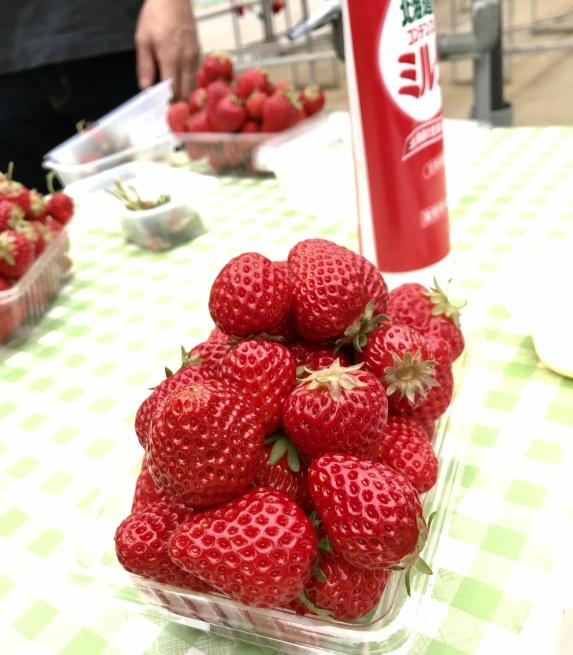c0362401_10200886.jpeg