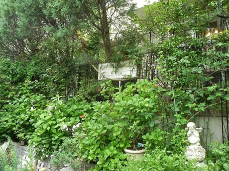 c0152002_20002056.jpg