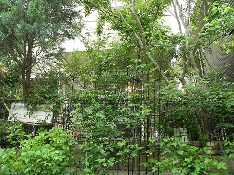 c0152002_20015426.jpg