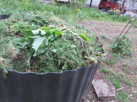 ピースのソックス・草取りはかどる など_a0203003_20412731.jpg