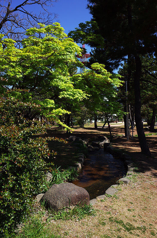 七十五回目のピクニックは『石屋川公園』_c0102003_15561867.jpg