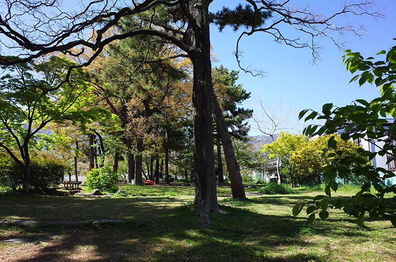 七十五回目のピクニックは『石屋川公園』_c0102003_15563655.jpg