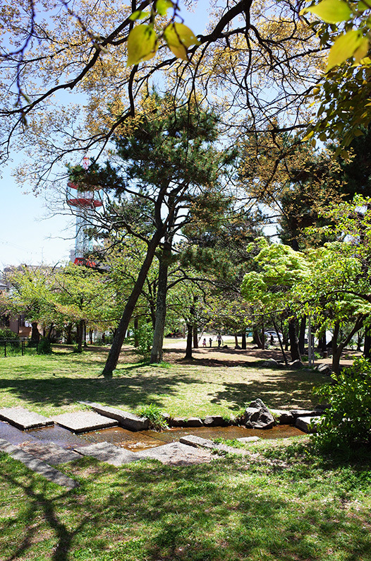 七十五回目のピクニックは『石屋川公園』_c0102003_15564088.jpg