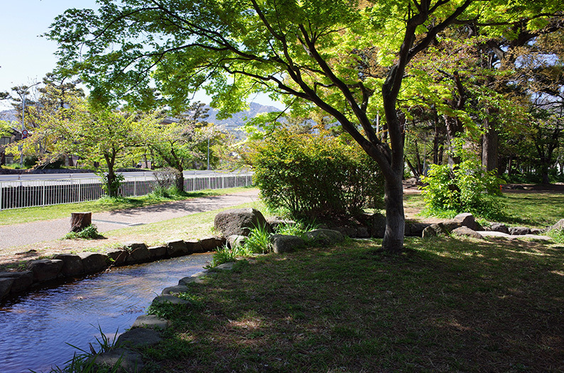 七十五回目のピクニックは『石屋川公園』_c0102003_15564481.jpg