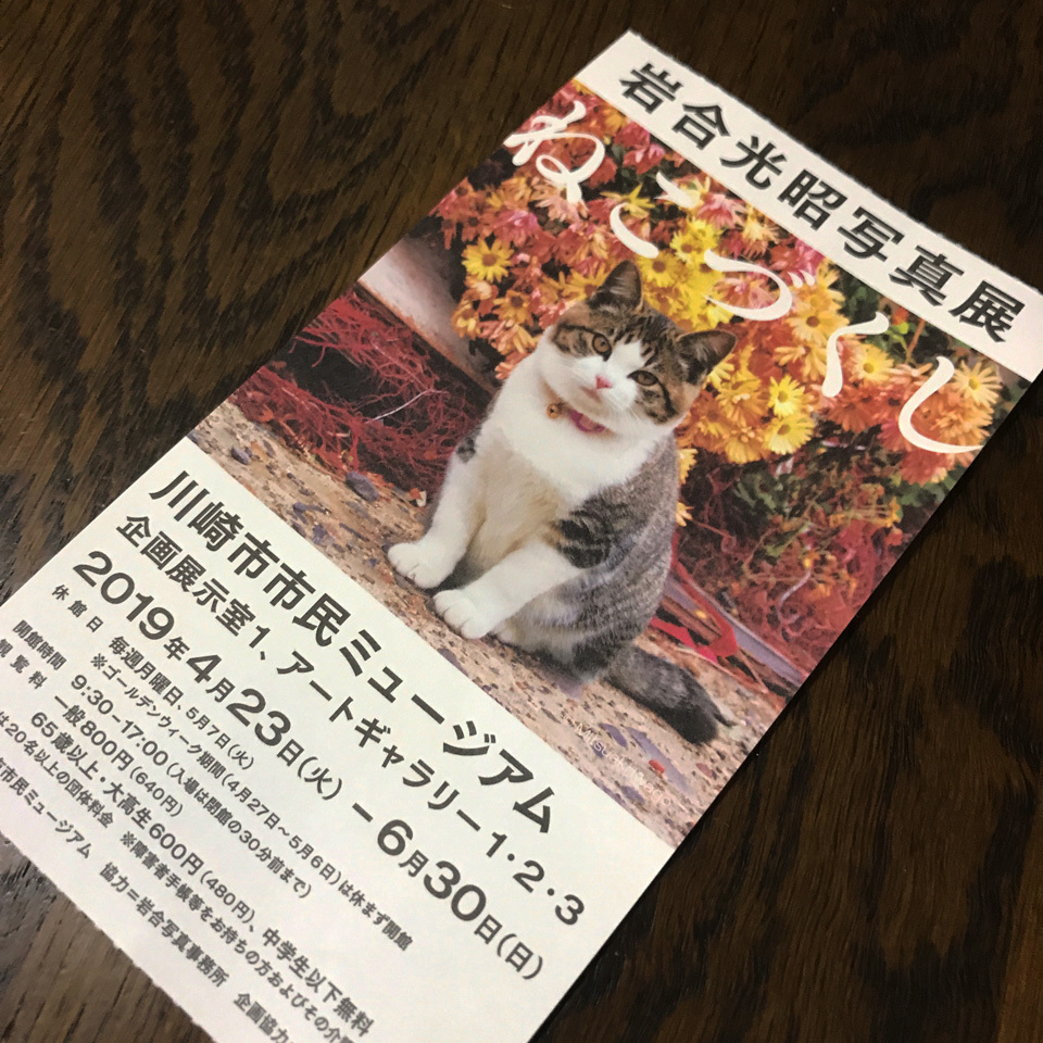 岩合光昭写真展「ねこづくし」に行ってきた。_c0001405_14144531.jpg