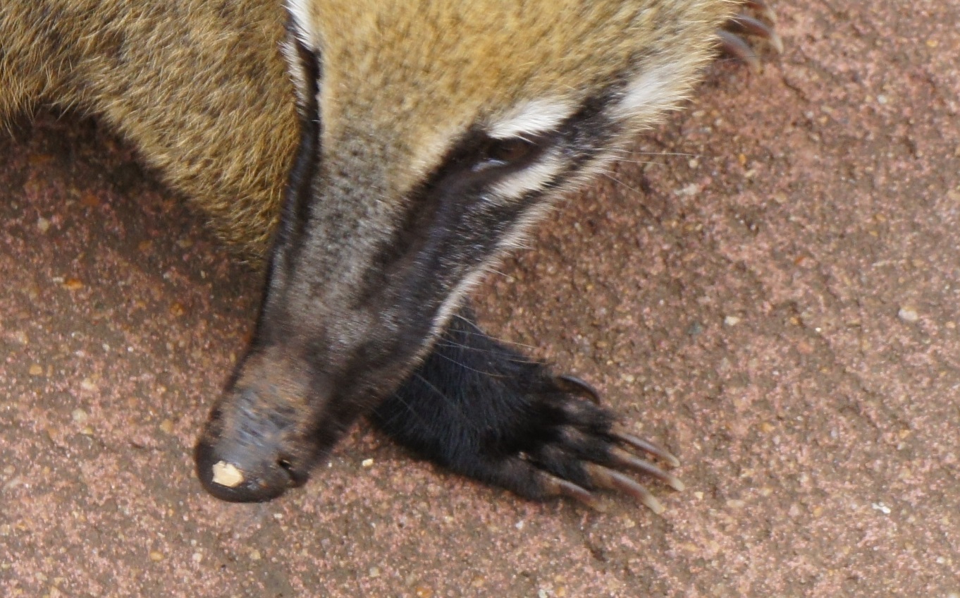 b0112909_02200856.jpg