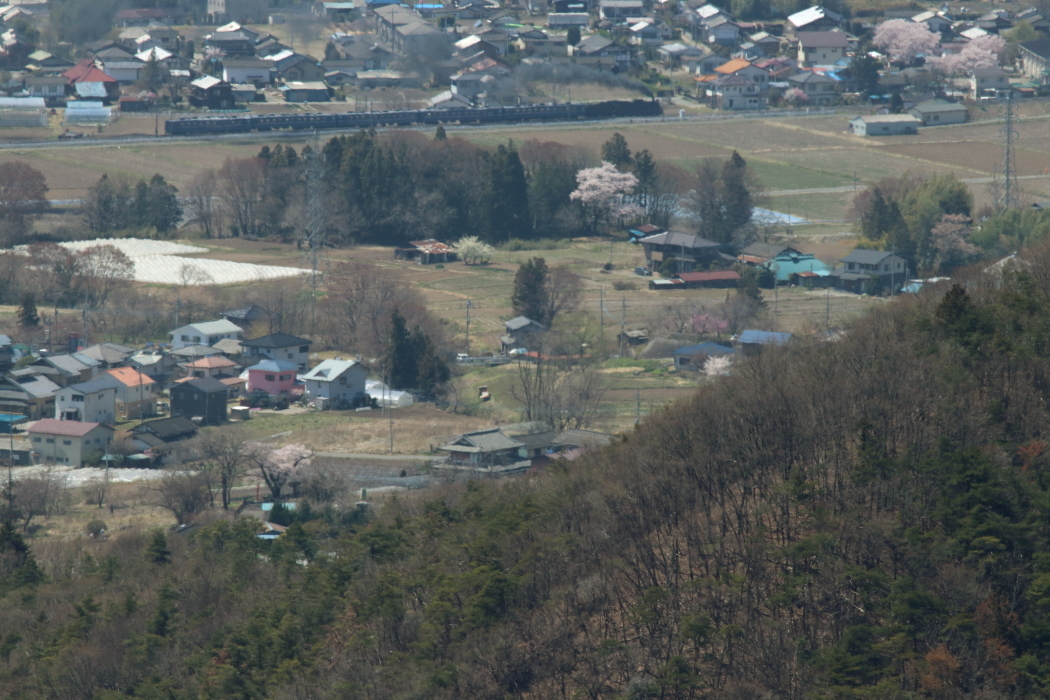 新緑の前、新緑の中 - 2019年桜・上越線 -_b0190710_20543259.jpg
