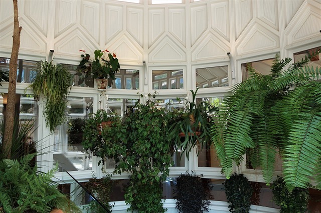 b0064411_00101317.jpg