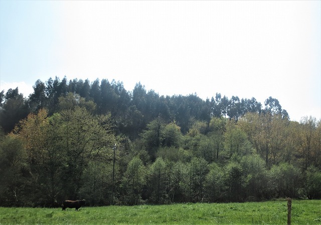 b0064411_00460053.jpg