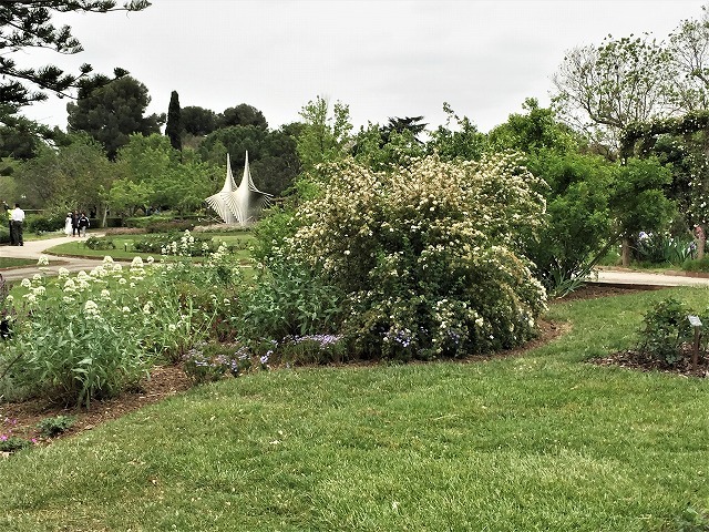 バラ公園の散策_b0064411_00582611.jpg