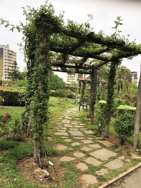 バラ公園の散策_b0064411_00593730.jpg