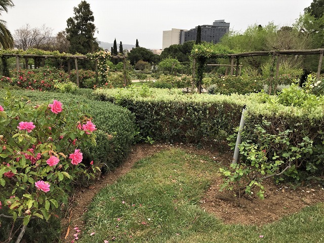 バラ公園の散策_b0064411_00593814.jpg