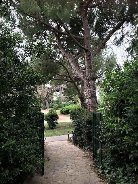 セルバンテス公園から続く遊歩道_b0064411_01250438.jpg