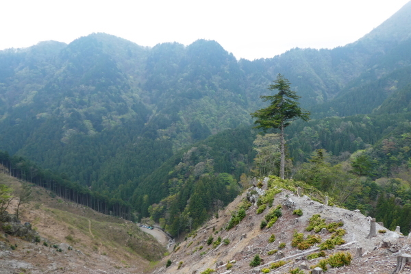 d0170615_20211638.jpg