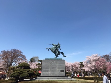 桜･･･満開　－ 霞城公園（山形） －_f0250515_21210048.jpg