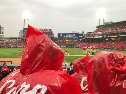 雨の中の野球観戦 ミニオフ会 本当に幸せなの