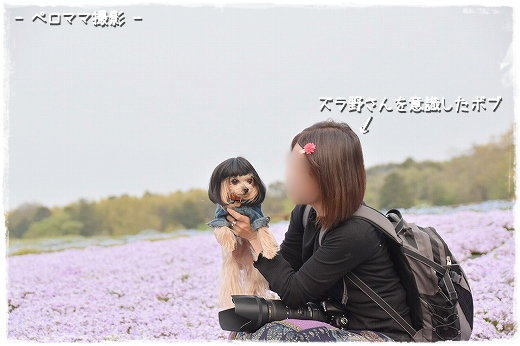 d0179828_16424179.png