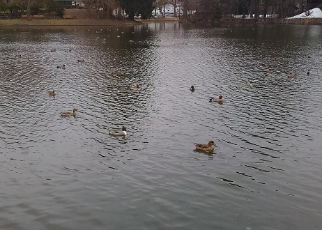 c0188229_15243790.jpg