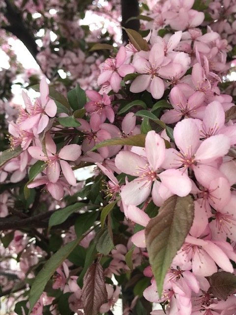 d0269832_06470792.jpeg