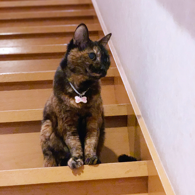 ちょっと光が?!_d0355333_20104718.jpg