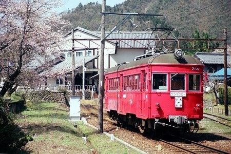 20年の雑感 ~草の想い~_e0030537_23382793.jpg