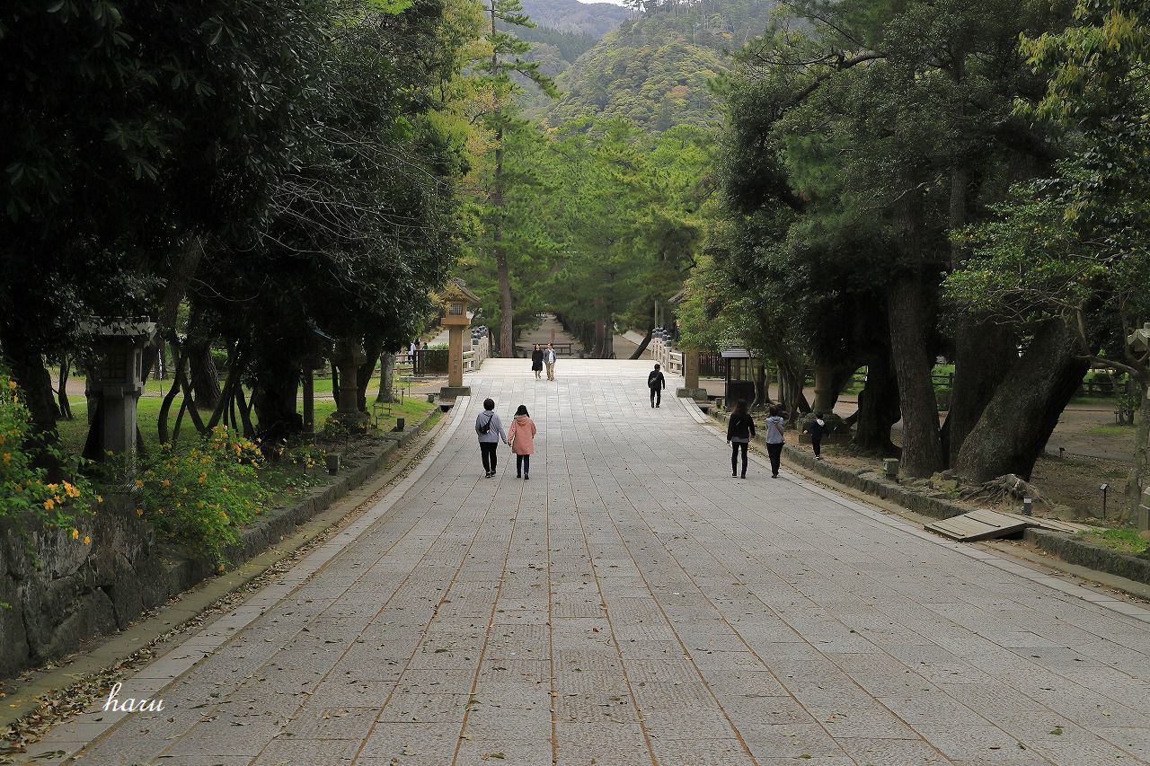 f0297537_13334602.jpg