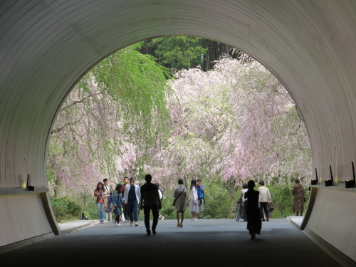 大徳寺龍光院展 5月19日まで開催中 花吹雪のミホミュージアムへ 会期終了 京都の骨董 ギャラリー 幾一里のブログ 大徳寺龍光院展 5月19日まで開催中 花吹雪のミホミュージアムへ 会期終了 京都の骨董 ギャラリー 幾一里のブログ