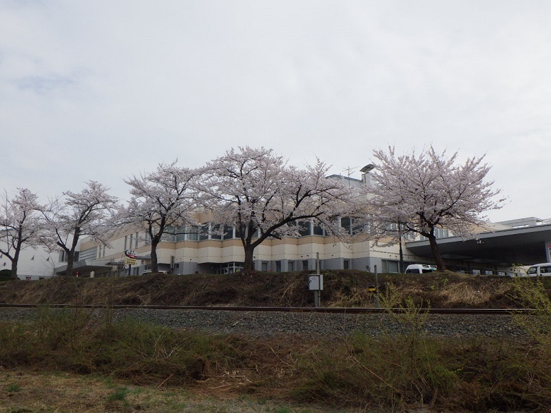 横手市増田まんが美術館　リニューアルオープンです！_e0341538_15071336.jpg