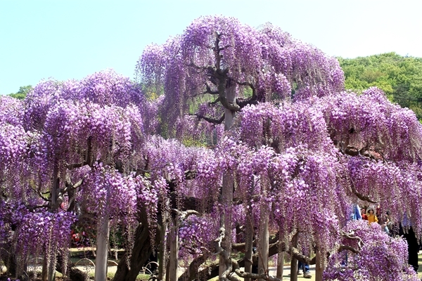 c0229539_11022114.jpg