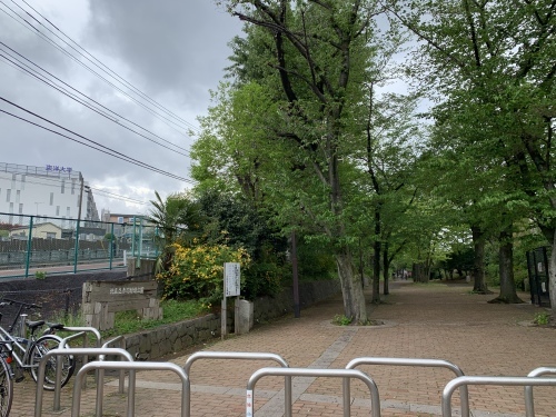 b0330040_22314221.jpeg