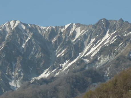 大山、烏ヶ山の眺望と山野草を楽しむ 『春の奥大山ハイク』_c0218841_11440067.jpg
