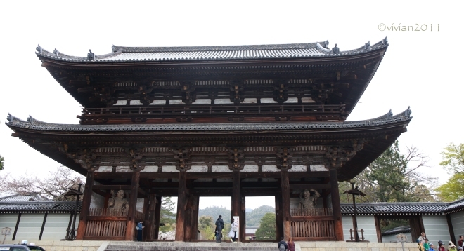 京都 遅咲きのおむろ桜 in 仁和寺(にんなじ)_e0227942_15124522.jpg