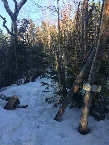 (写真再アップ)ナメ滝までの登山道状況_c0369344_13182025.jpeg