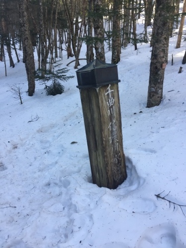 （写真再アップ）ナメ滝までの登山道状況_c0369344_13190026.jpeg