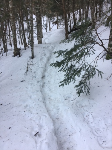 （写真再アップ）ナメ滝までの登山道状況_c0369344_13193348.jpeg