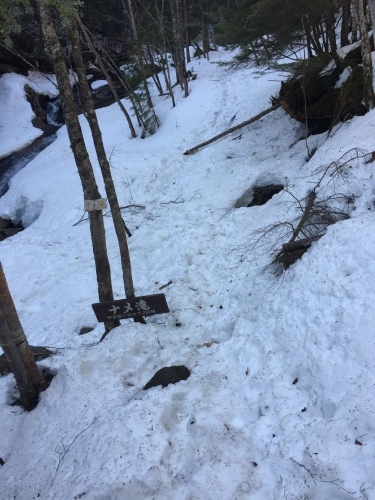 （写真再アップ）ナメ滝までの登山道状況_c0369344_13195373.jpeg