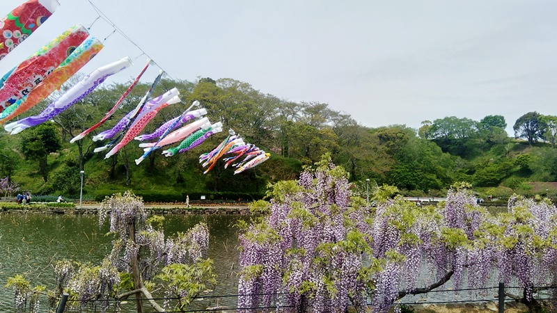 蓮花寺池公園 風と香りと太陽