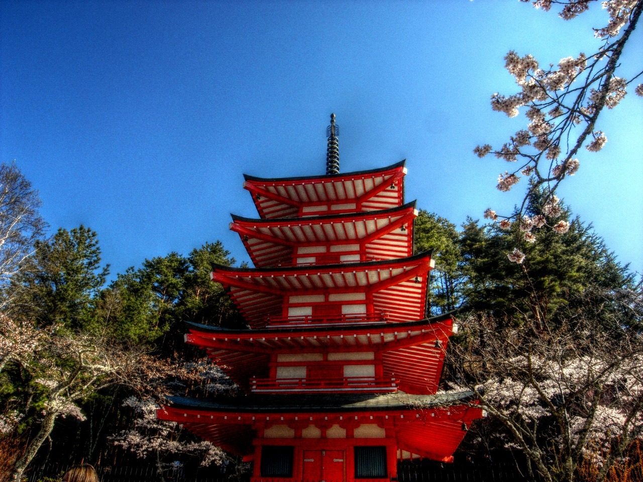 新倉山浅間公園　富士吉田　桜まつり_b0083855_22223792.jpg