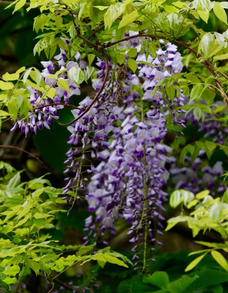 a0248459_16031650.jpg
