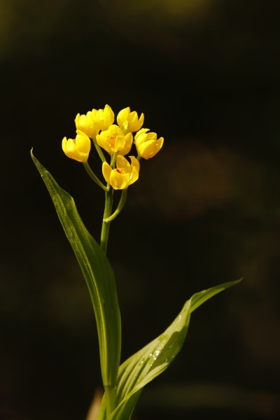 a0248459_16275218.jpg