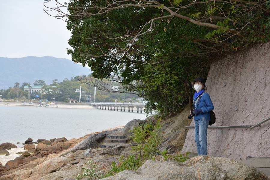 竹島 (蒲郡市)_b0346568_17385116.jpg