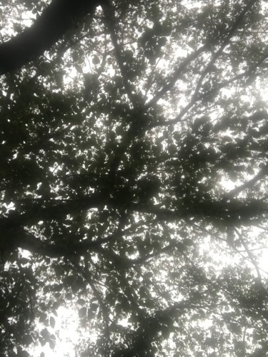 a0216583_22493088.jpeg